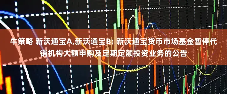 牛策略 新沃通宝A,新沃通宝B: 新沃通宝货币市场基金暂停代销机构大额申购及定期定额投资业务的公告